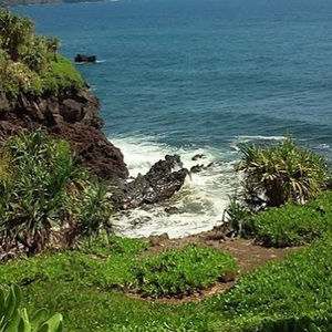 Meet your Posher, Martina